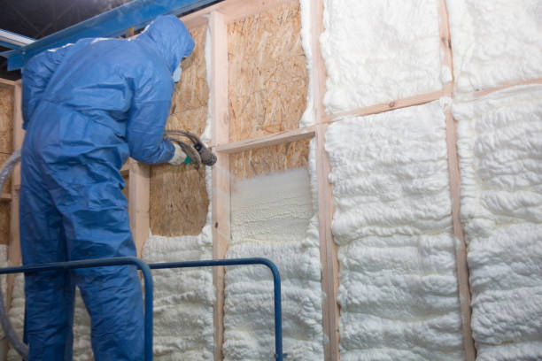 Best Thermal Imaging for Insulation Gaps in Mattoon, IL